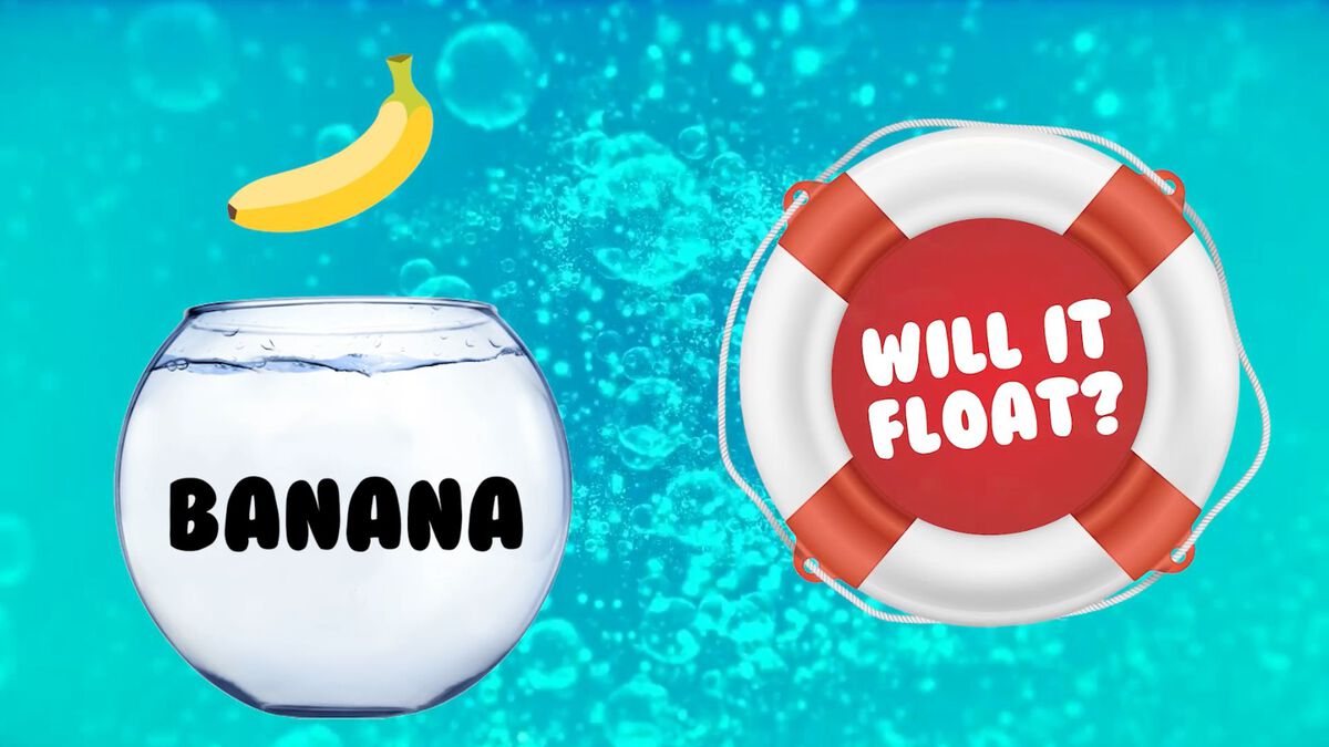 Will it Float? image number null